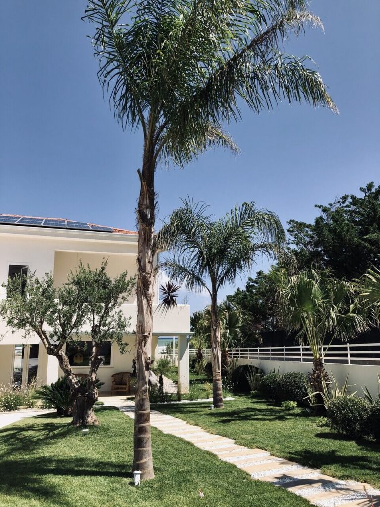 07_1-orizzonti-mediterranei